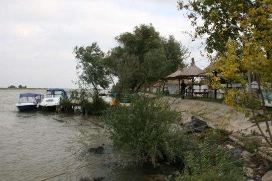 Angelreisen in Donaudelta: an der Donau bei Crisan